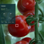 Close-up of ripe red tomatoes on the vine with a digital overlay showing live data: Nuywe Fresh Farms, Greenhouse 21, Temperature 1: Weekdays Cycle, displaying 23° C and 19° C, relocation options, and digital squares marking the tomatoes.