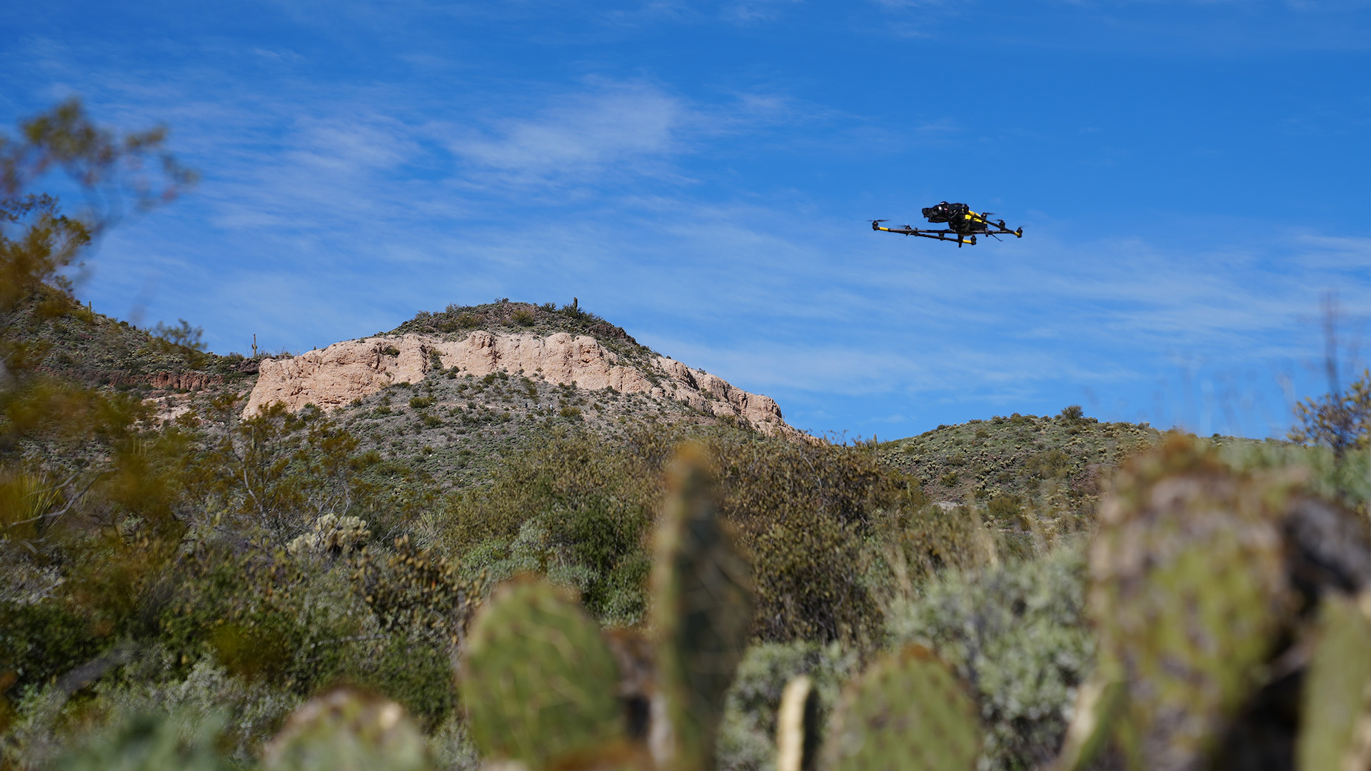 A drone flies over a desert landscape with tall green cacti in the foreground and rocky hills in the background under a clear blue sky.