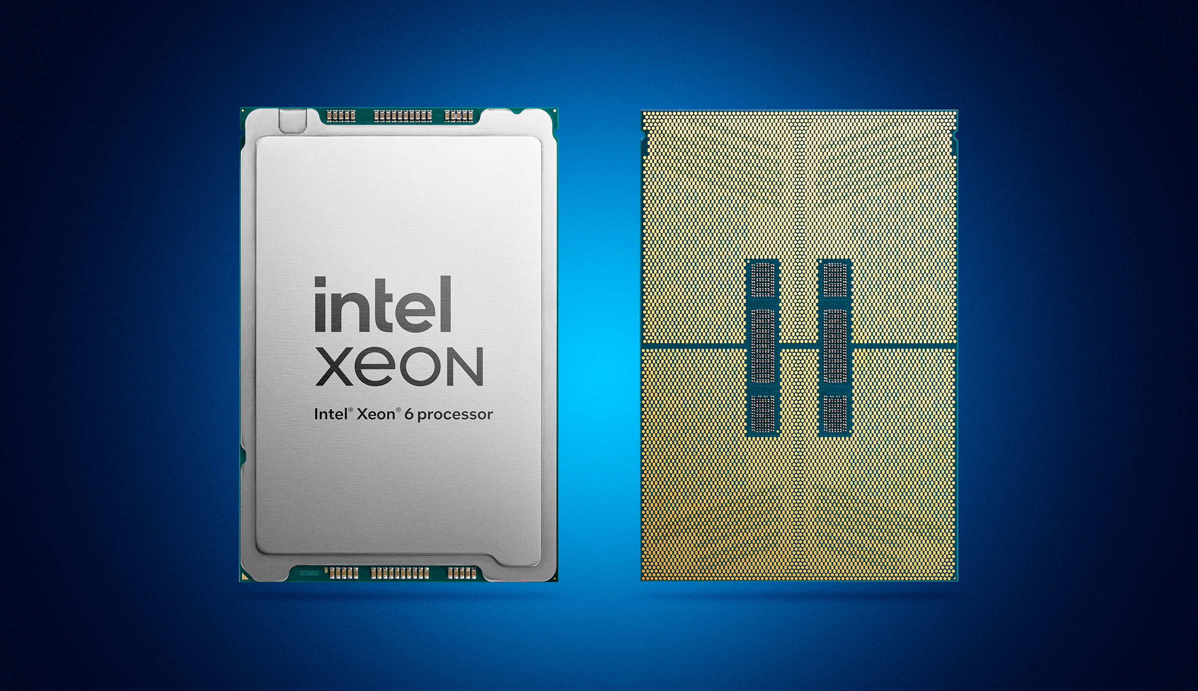 Two Intel Xeon processors on a blue background. The left shows the labeled front side with intel XEON, Intel Xeon 6 processor. The right displays the back with a complex pin configuration.